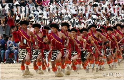 hornbill-festival.jpg