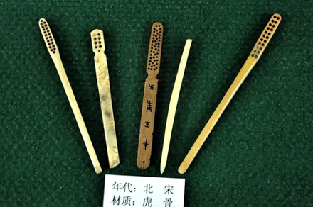 26 June : The story of First Toothbrush – NehaScope
